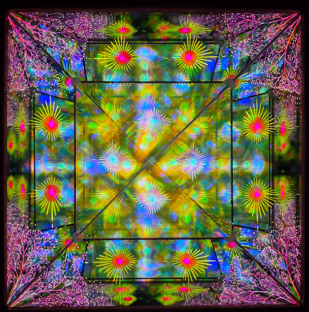 Diatoms